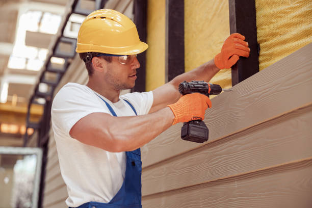 istockphoto-1337068310-612x612